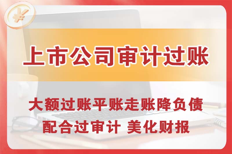 阳西上市公司审计过账